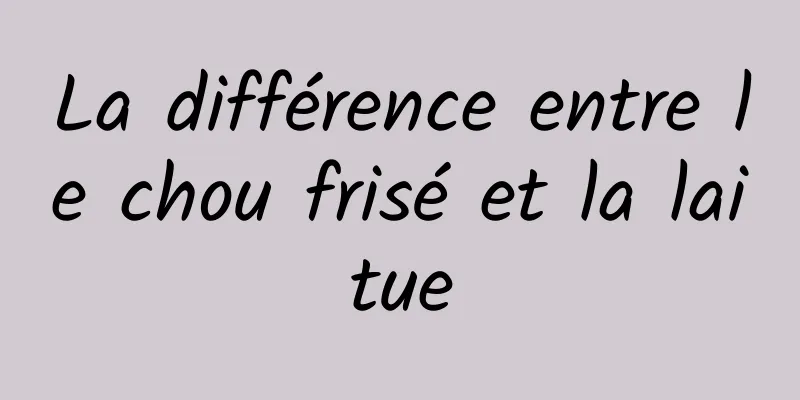 La différence entre le chou frisé et la laitue