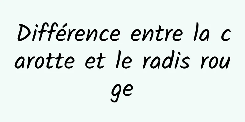 Différence entre la carotte et le radis rouge