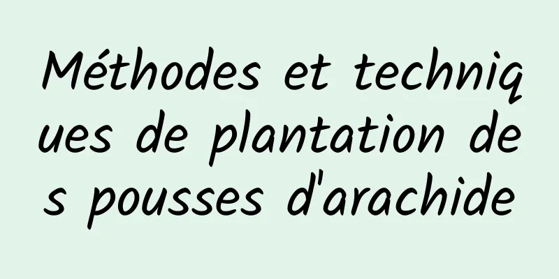 Méthodes et techniques de plantation des pousses d'arachide