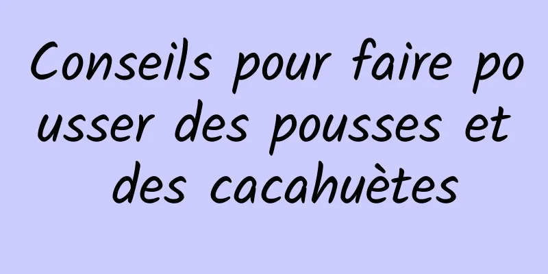 Conseils pour faire pousser des pousses et des cacahuètes