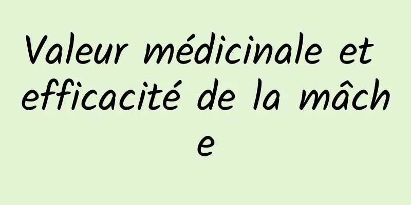 Valeur médicinale et efficacité de la mâche