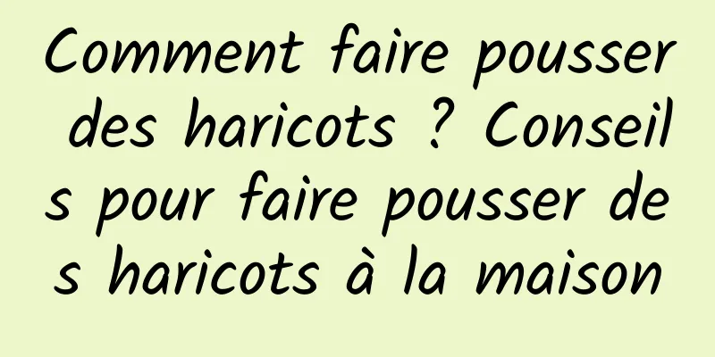 Comment faire pousser des haricots ? Conseils pour faire pousser des haricots à la maison