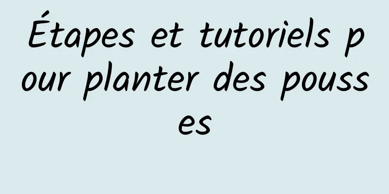 Étapes et tutoriels pour planter des pousses