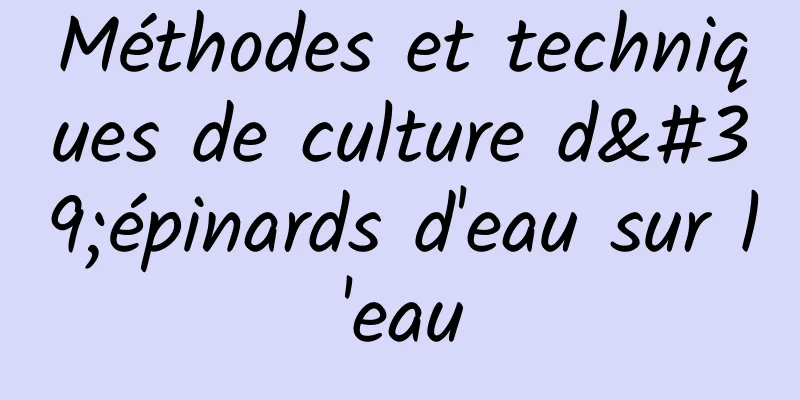 Méthodes et techniques de culture d'épinards d'eau sur l'eau