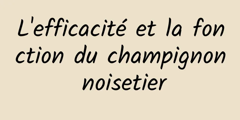 L'efficacité et la fonction du champignon noisetier