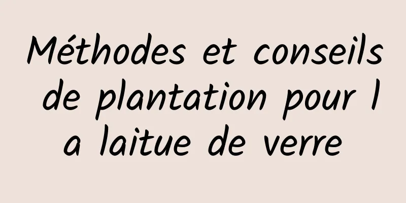 Méthodes et conseils de plantation pour la laitue de verre