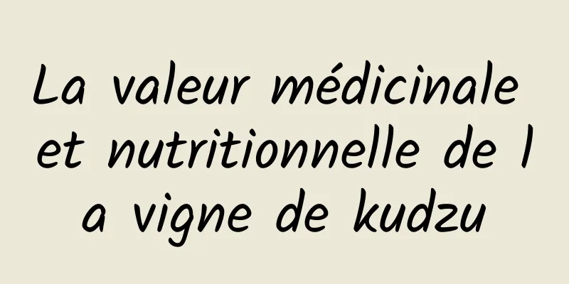 La valeur médicinale et nutritionnelle de la vigne de kudzu