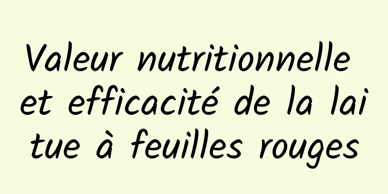 Valeur nutritionnelle et efficacité de la laitue à feuilles rouges