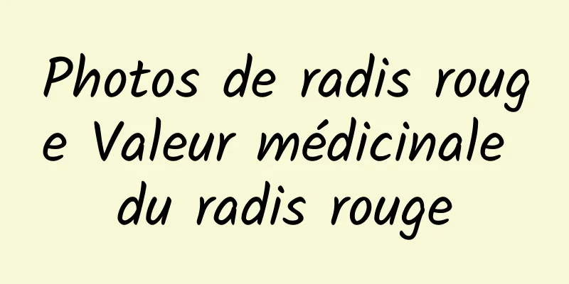 Photos de radis rouge Valeur médicinale du radis rouge