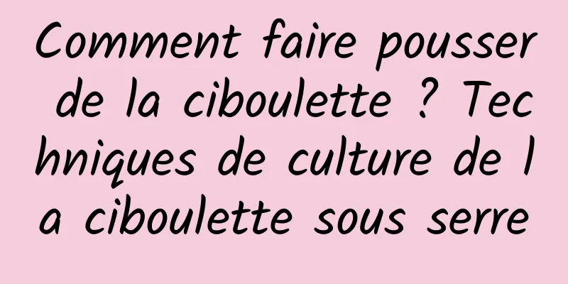 Comment faire pousser de la ciboulette ? Techniques de culture de la ciboulette sous serre