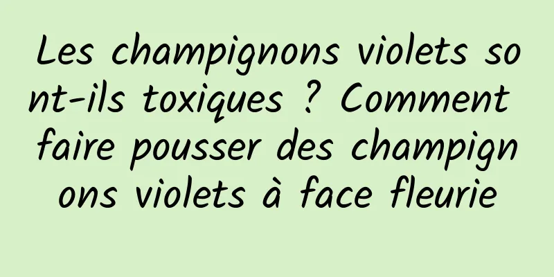 Les champignons violets sont-ils toxiques ? Comment faire pousser des champignons violets à face fleurie