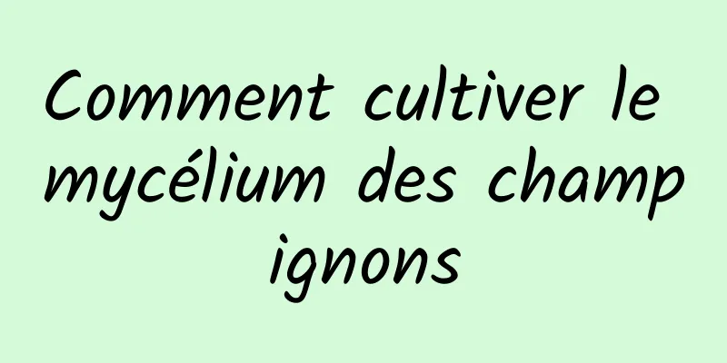 Comment cultiver le mycélium des champignons