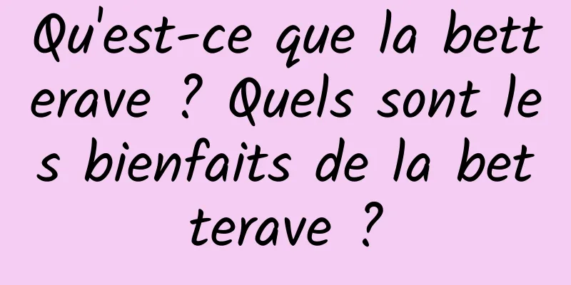 Qu'est-ce que la betterave ? Quels sont les bienfaits de la betterave ?