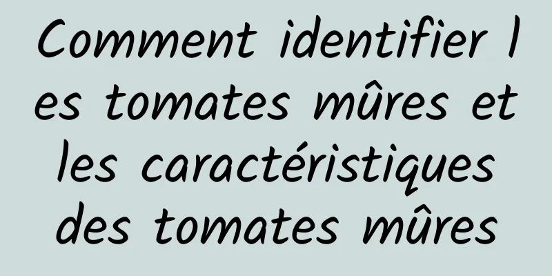 Comment identifier les tomates mûres et les caractéristiques des tomates mûres