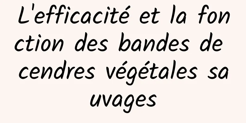 L'efficacité et la fonction des bandes de cendres végétales sauvages