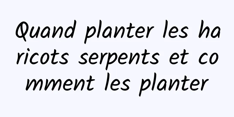 Quand planter les haricots serpents et comment les planter