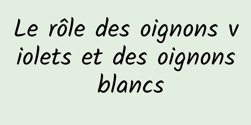 Le rôle des oignons violets et des oignons blancs