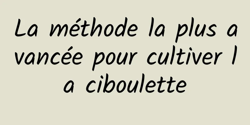 La méthode la plus avancée pour cultiver la ciboulette