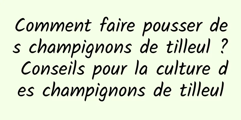 Comment faire pousser des champignons de tilleul ? Conseils pour la culture des champignons de tilleul