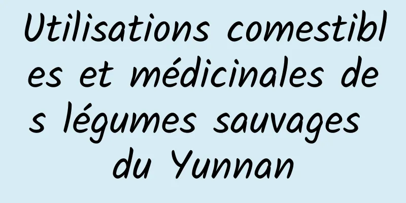 Utilisations comestibles et médicinales des légumes sauvages du Yunnan