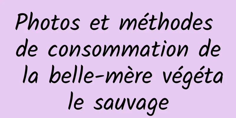 Photos et méthodes de consommation de la belle-mère végétale sauvage