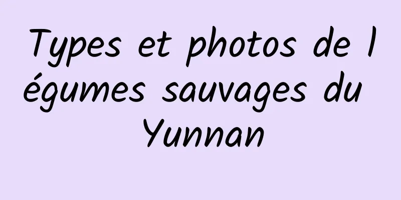 Types et photos de légumes sauvages du Yunnan