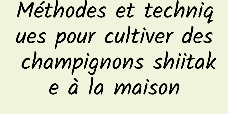 Méthodes et techniques pour cultiver des champignons shiitake à la maison