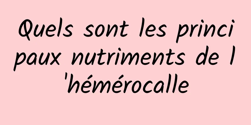 Quels sont les principaux nutriments de l'hémérocalle