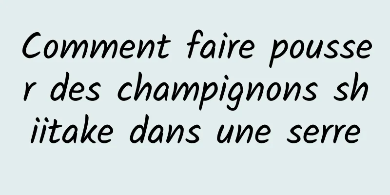 Comment faire pousser des champignons shiitake dans une serre