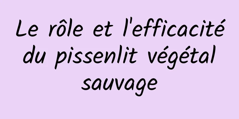 Le rôle et l'efficacité du pissenlit végétal sauvage