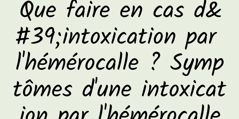 Que faire en cas d'intoxication par l'hémérocalle ? Symptômes d'une intoxication par l'hémérocalle