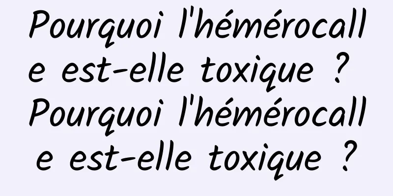 Pourquoi l'hémérocalle est-elle toxique ? Pourquoi l'hémérocalle est-elle toxique ?