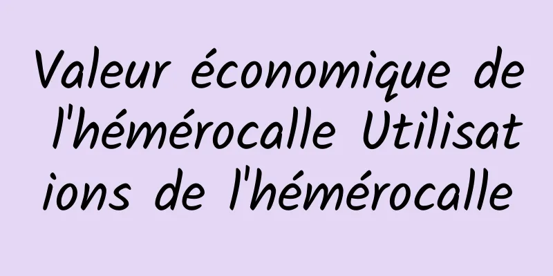 Valeur économique de l'hémérocalle Utilisations de l'hémérocalle