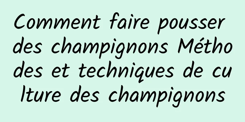 Comment faire pousser des champignons Méthodes et techniques de culture des champignons