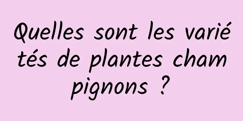 Quelles sont les variétés de plantes champignons ?