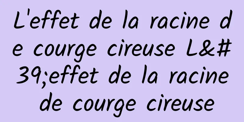 L'effet de la racine de courge cireuse L'effet de la racine de courge cireuse