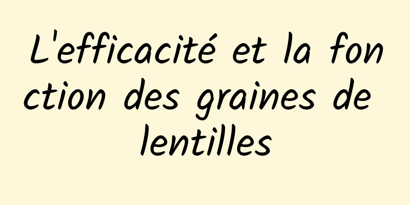 L'efficacité et la fonction des graines de lentilles