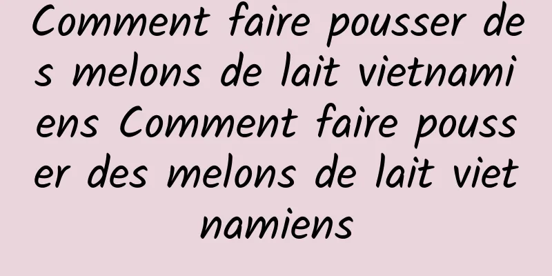 Comment faire pousser des melons de lait vietnamiens Comment faire pousser des melons de lait vietnamiens