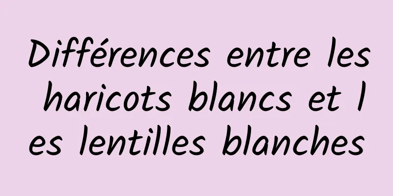 Différences entre les haricots blancs et les lentilles blanches