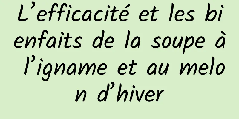 L’efficacité et les bienfaits de la soupe à l’igname et au melon d’hiver