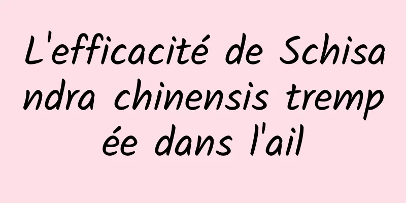 L'efficacité de Schisandra chinensis trempée dans l'ail