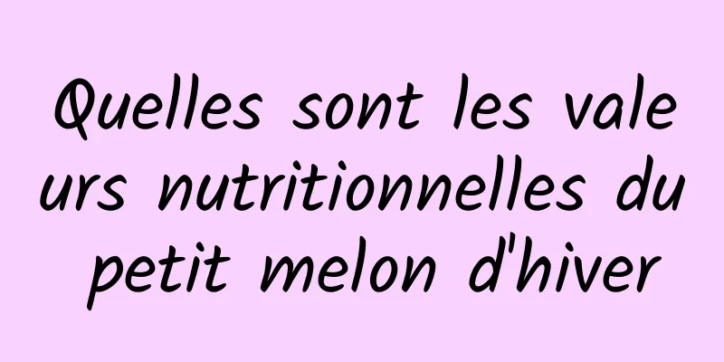 Quelles sont les valeurs nutritionnelles du petit melon d'hiver