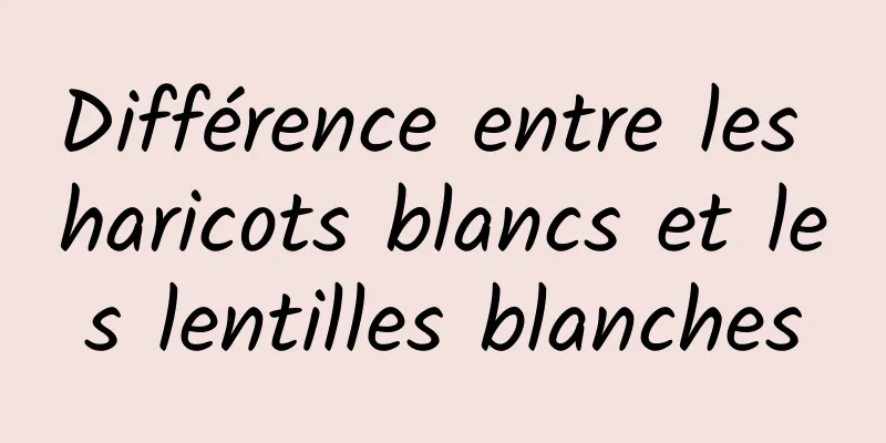 Différence entre les haricots blancs et les lentilles blanches