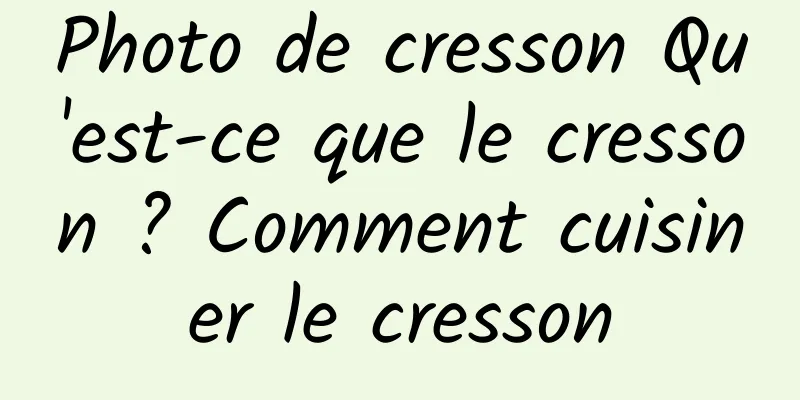 Photo de cresson Qu'est-ce que le cresson ? Comment cuisiner le cresson