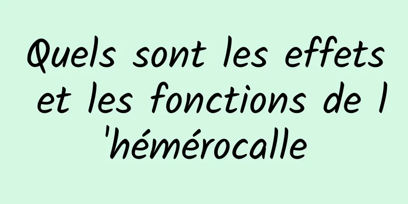 Quels sont les effets et les fonctions de l'hémérocalle