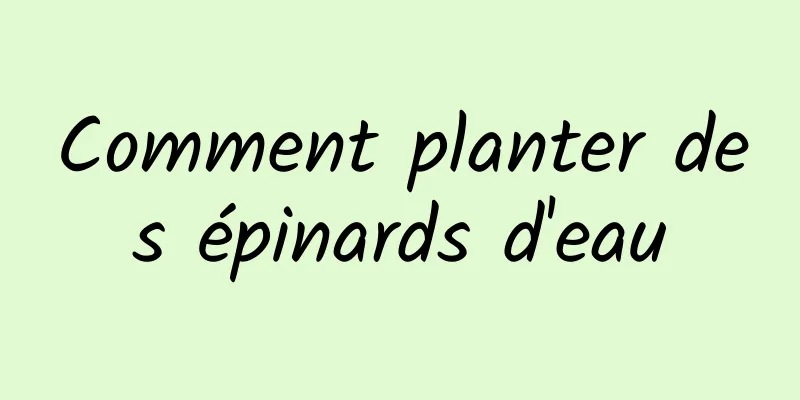 Comment planter des épinards d'eau