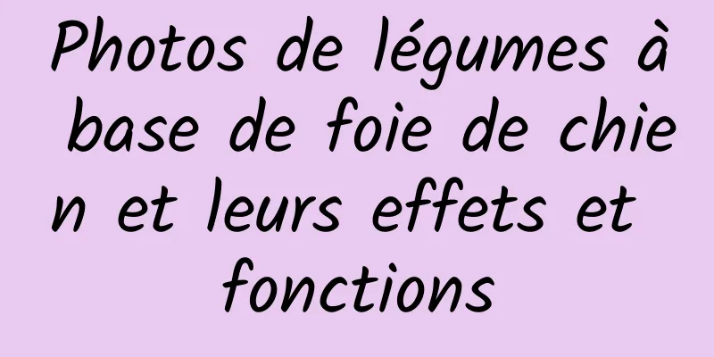 Photos de légumes à base de foie de chien et leurs effets et fonctions