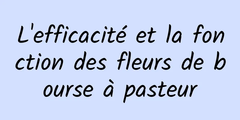 L'efficacité et la fonction des fleurs de bourse à pasteur