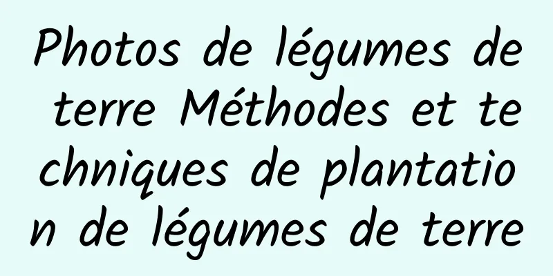 Photos de légumes de terre Méthodes et techniques de plantation de légumes de terre