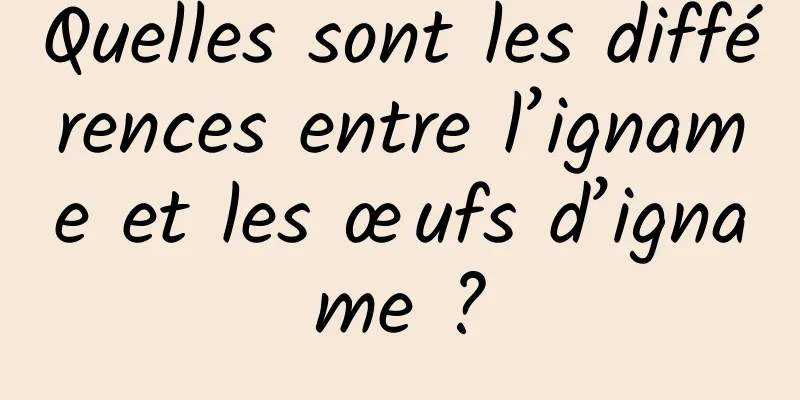 Quelles sont les différences entre l’igname et les œufs d’igname ?